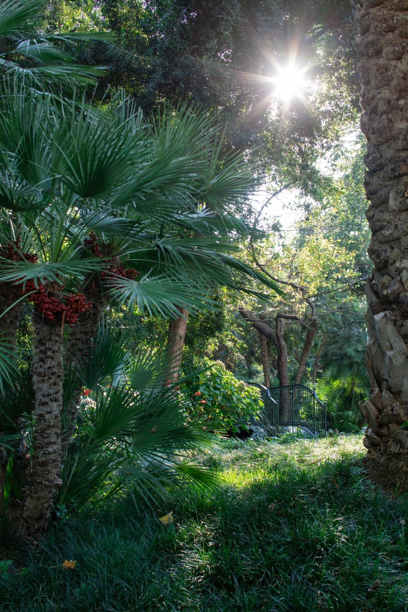 Hotel Parco dei Principi Sorrento Esterno foto