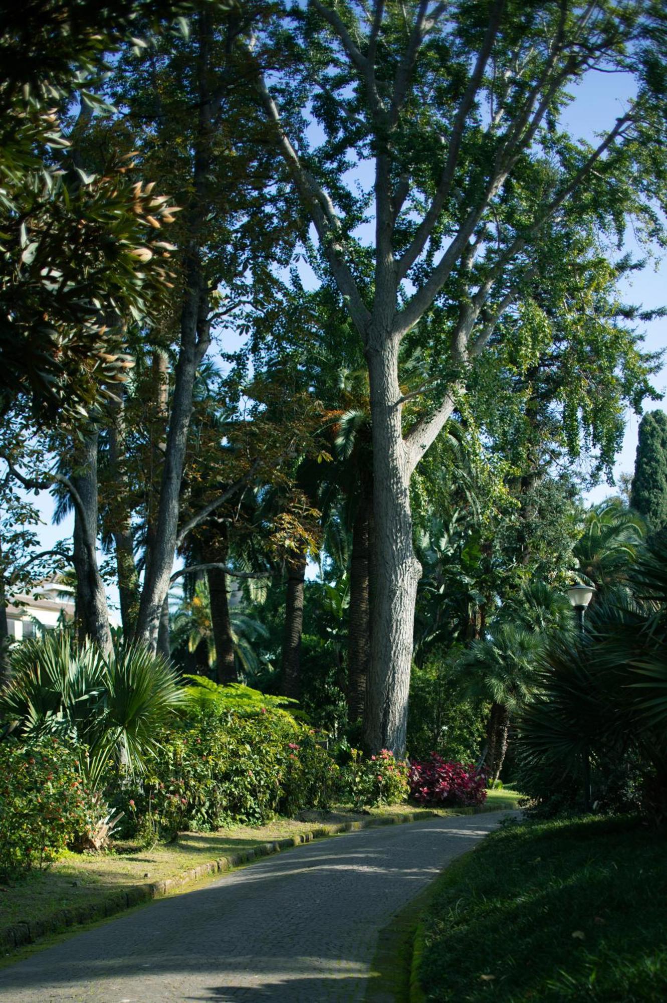 Hotel Parco dei Principi Sorrento Esterno foto